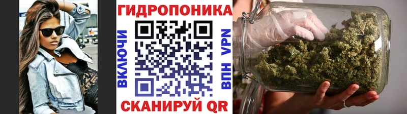 Какие есть наркотики Курильск Бошки Шишки  Alpha PVP  Мефедрон 