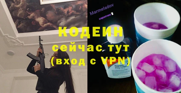 спиды Корсаков