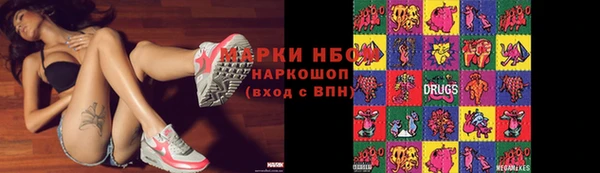 сатива Краснослободск