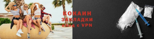 сатива Краснослободск