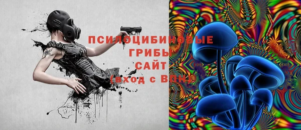 кристаллы Коряжма