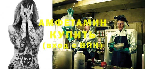прущие грибы Кулебаки