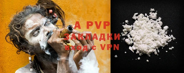 прущие грибы Кулебаки
