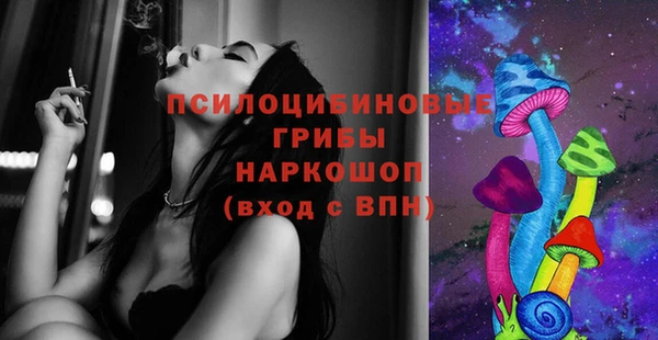 прущие грибы Кодинск