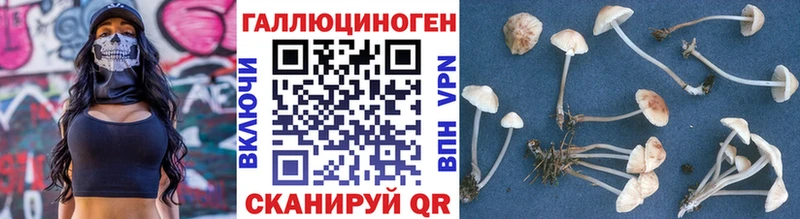 Галлюциногенные грибы Cubensis  Курильск 